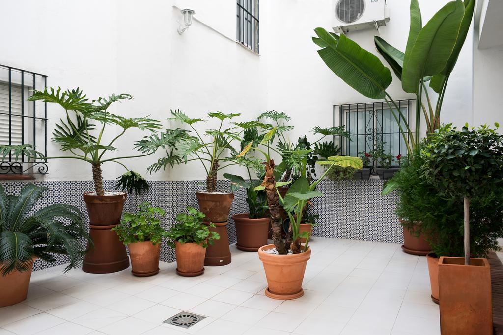 Urbanchicmalaga 3 Bedroom Spacious Quiet Historic Malaga Apt Esterno foto